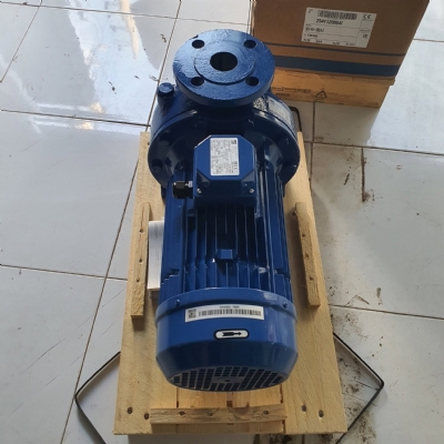 can-dien-tu-camry-sieu-mong-hoa-tiet-hoa-van-eb-9301-s109
