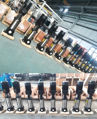 can-dien-tu-camry-sieu-mong-hoa-tiet-hoa-van-eb-9301-s109