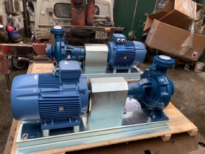 can-dien-tu-camry-sieu-mong-hoa-tiet-hoa-van-eb-9301-s109
