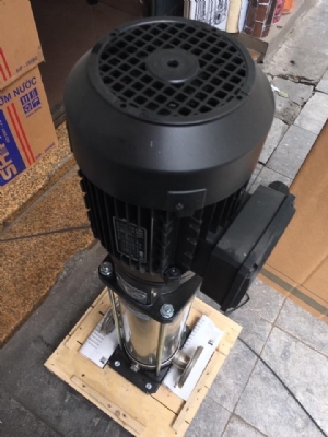 can-dien-tu-camry-sieu-mong-hoa-tiet-hoa-van-eb-9301-s109