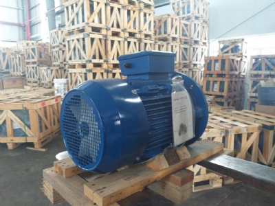 can-dien-tu-camry-sieu-mong-hoa-tiet-hoa-van-eb-9301-s109