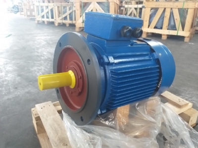 can-dien-tu-camry-sieu-mong-hoa-tiet-hoa-van-eb-9301-s109